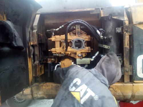 17425989 455334381465229 6927050472565347872 n